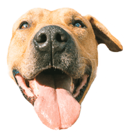sticker image #1