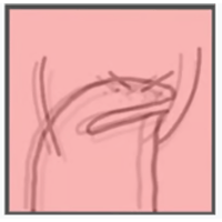 sticker image #5