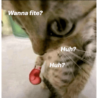 sticker image #17