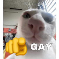 sticker image #3