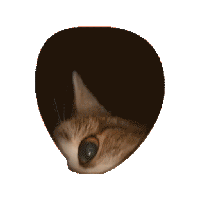 sticker image #21