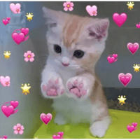 Sticker Maker Wholesome Memes Sticker Maker Wholesome Memes