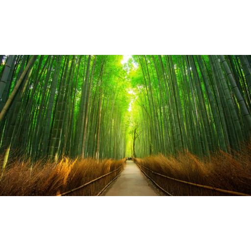 tray_icon #128307 sticker_pack