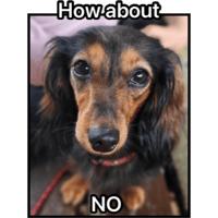 sticker image #20