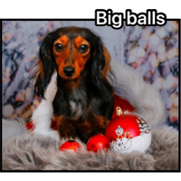 sticker image #21