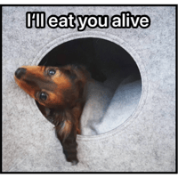 sticker image #28