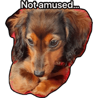 sticker image #6