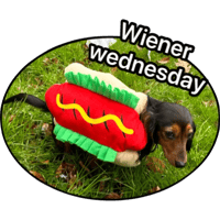 sticker image #7