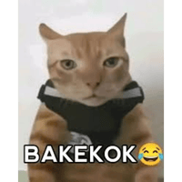 sticker image #10