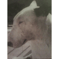 sticker image #1