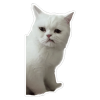 sticker image #10