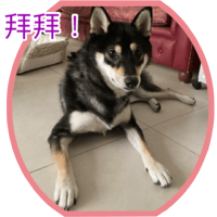 sticker image #26