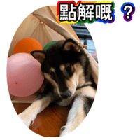 sticker image #14