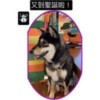 sticker image #24