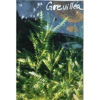 sticker image #16