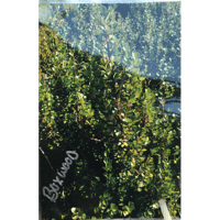 sticker image #4
