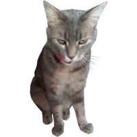 sticker image #1