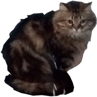 sticker image #4