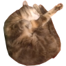 tray_icon