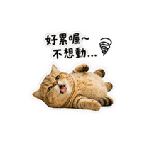 sticker image #10
