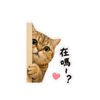 sticker image #15
