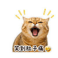 sticker image #24