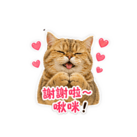 sticker image #7