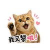 tray_icon #130730 sticker_pack