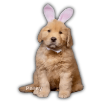 sticker image #13