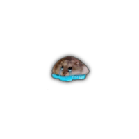 sticker image #25