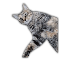 sticker image #27
