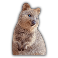 sticker image #28