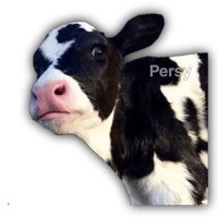sticker image #9
