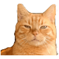 tray_icon