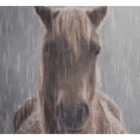 sticker image #29