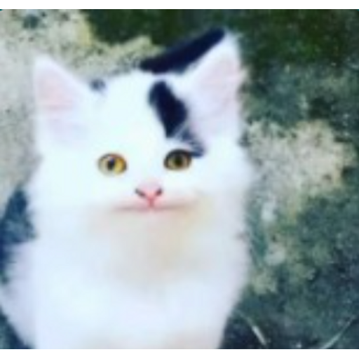 tray_icon #44277 sticker_pack