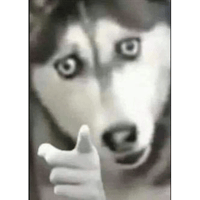 sticker image #3