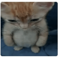 sticker image #23
