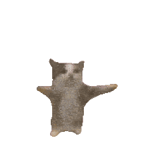 sticker image #1