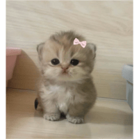 sticker image #1