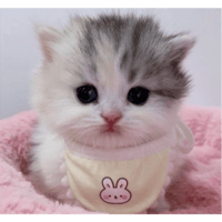 sticker image #7
