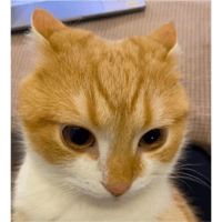sticker image #9
