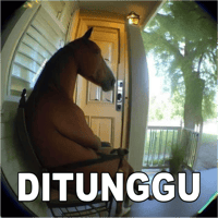 sticker image #18