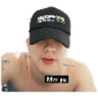 tray_icon