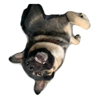 sticker image #2