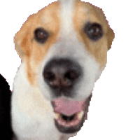 sticker image #5