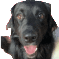 sticker image #6