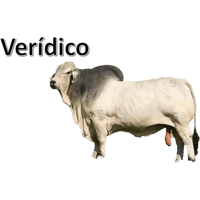 sticker image #5