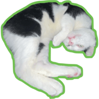 sticker image #25