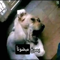 sticker image #18